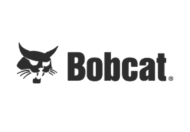 Bobcat