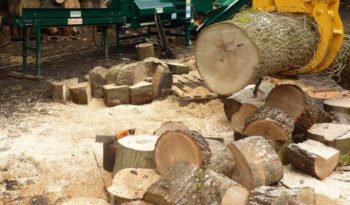 Fuelwood Splitta 400 Log Splitter full