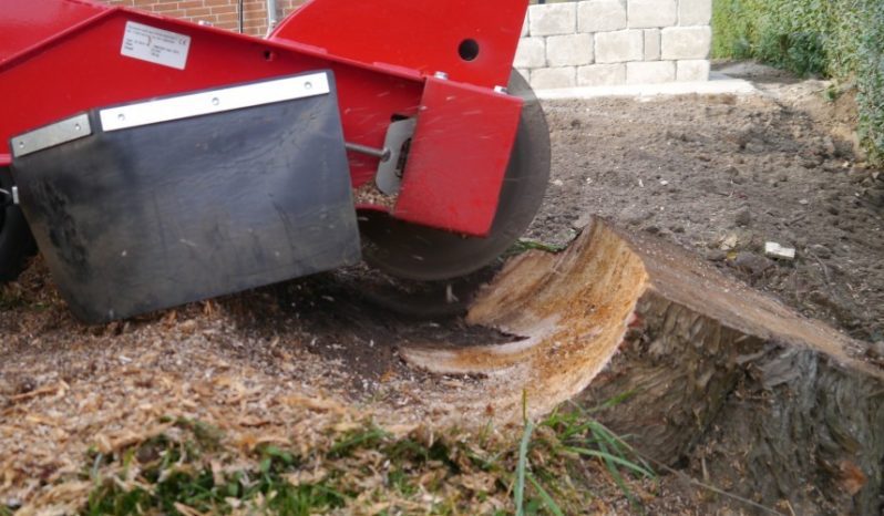 FSI B22 Stump Grinder full