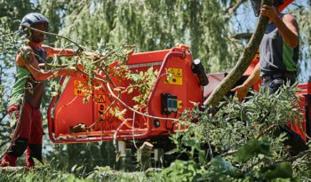 Timberwolf TW 280FTR Petrol Wood Chipper full