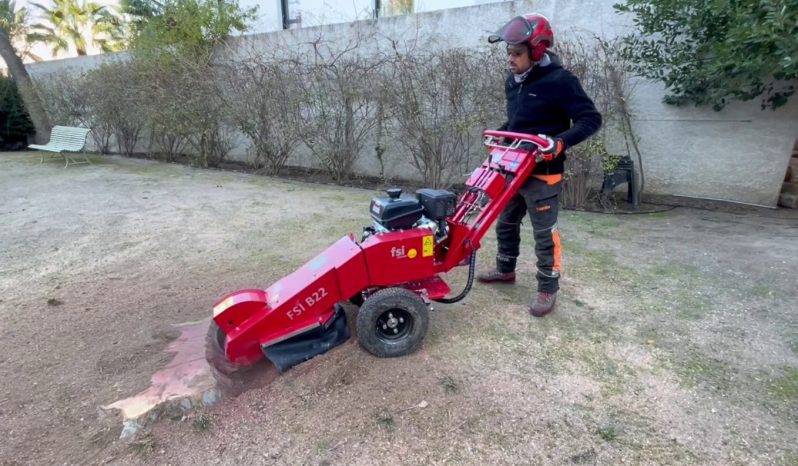 FSI B22 Stump Grinder full